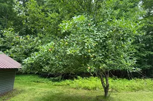 W6845 Disappearing Creek, Phillips, WI 54555 - Photo 16