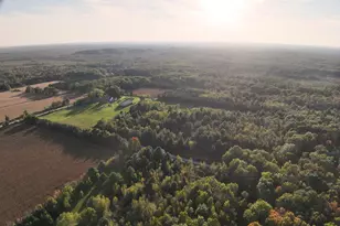 W8830 Heintown Rd, Willard, WI 54493 - Photo 52