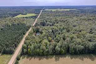 N4185 Schielke Rd, Gleason, WI 54435 - Photo 60