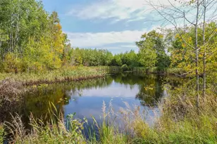 N9417 County Road H, Gleason, WI 54435 - Photo 58