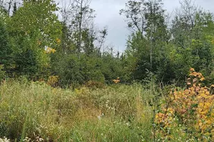 W12289 County Rd J, Deerbrook, WI 54424 - Photo 20