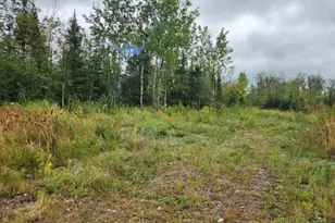 W12289 County Rd J, Deerbrook, WI 54424 - Photo 18