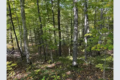 W9196 Birchwood Lane, Deerbrook, WI 54424 - Photo 38