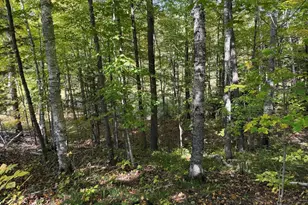 W9196 Birchwood Ln, Deerbrook, WI 54424 - Photo 38