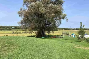 236934 Eau Claire River Rd, Aniwa, WI 54408 - Photo 22