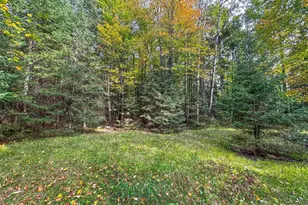 N12668 Hicks Landing Rd, Fifield, WI 54524 - Photo 4