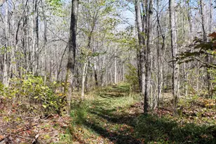 N8878 Blue Moon Ln, Westboro, WI 54490 - Photo 16