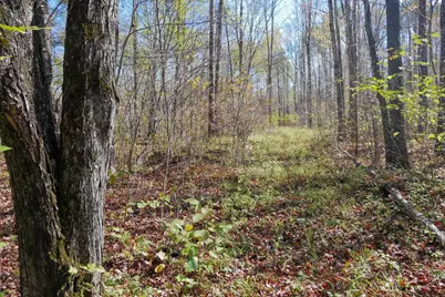 N8878 Blue Moon Lane, Westboro, WI 54490 - Photo 10