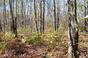 N8878 Blue Moon Ln, Westboro, WI 54490 - Photo 14