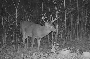 N8878 Blue Moon Ln, Westboro, WI 54490 - Photo 2