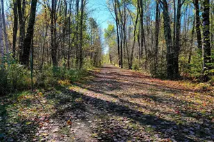 N8878 Blue Moon Ln, Westboro, WI 54490 - Photo 14