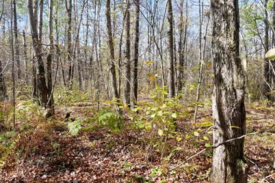 N8878 Blue Moon Lane, Westboro, WI 54490 - Photo 14