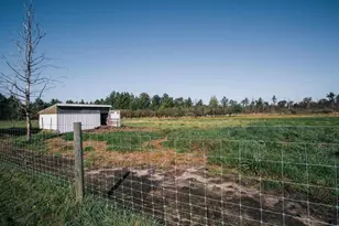 W4662 Anderson Rd, Neillsville, WI 54456 - Photo 8