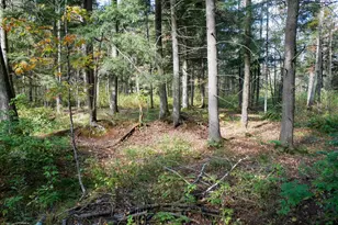 W2195 Co Rd YY, Ogema, WI 54459 - Photo 12