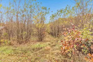 4006 Elkins Rd, Amherst, WI 54406 - Photo 46