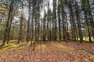 N16344 Kaley Rd, Butternut, WI 54514 - Photo 50