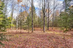 N16344 Kaley Rd, Butternut, WI 54514 - Photo 6