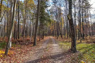 N9129 Elk River Rd, Phillips, WI 54555 - Photo 42