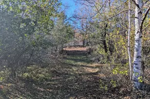 N9689 Bass Lake Ln, Phillips, WI 54555 - Photo 32