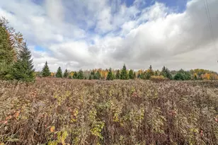 W10862 Hwy 8, Kennan, WI 54537 - Photo 52