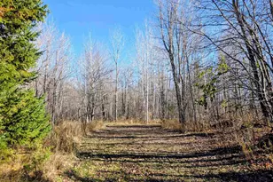 W9285 Cth S, Phillips, WI 54555 - Photo 26