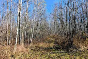 W9285 Cth S, Phillips, WI 54555 - Photo 28