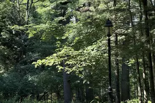 145683 Flint Creek Cir, Wausau, WI 54401 - Photo 6