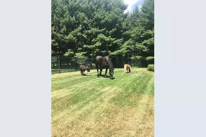 145683 Flint Creek Circle, Wausau, WI 54401 - Photo 24