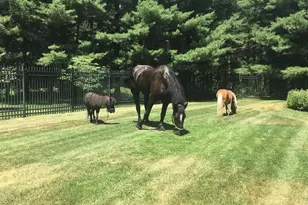 145683 Flint Creek Cir, Wausau, WI 54401 - Photo 24