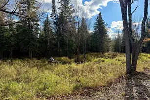 82136 Cth F, Butternut, WI 54514 - Photo 40