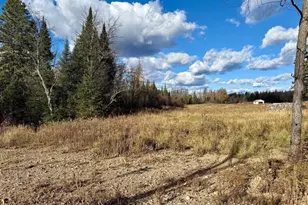 82136 Cth F, Butternut, WI 54514 - Photo 38