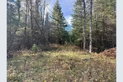 82136 Cth F, Butternut, WI 54514 - Photo 44