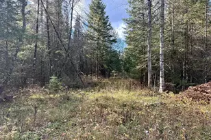 82136 Cth F, Butternut, WI 54514 - Photo 44