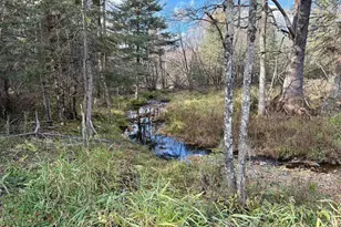 82136 Cth F, Butternut, WI 54514 - Photo 34