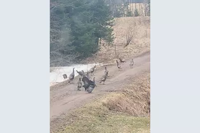 82136 Cth F, Butternut, WI 54514 - Photo 28