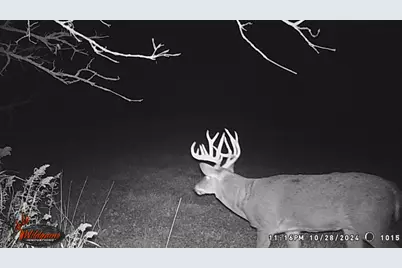 N3991 Maple Lane, Tigerton, WI 54486 - Photo 52