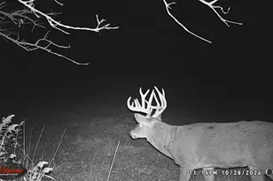 N3991 Maple Ln, Tigerton, WI 54486 - Photo 52