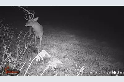 N3991 Maple Lane, Tigerton, WI 54486 - Photo 54