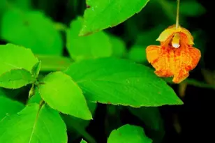 N10660 Tower Rd, Phillips, WI 54555 - Photo 42