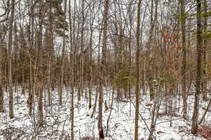 N10660 Tower Rd, Phillips, WI 54555 - Photo 8