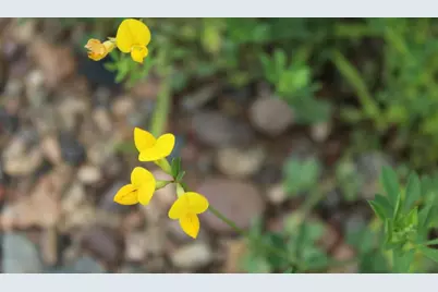 N10660 Tower Road, Phillips, WI 54555 - Photo 48