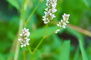 N10660 Tower Rd, Phillips, WI 54555 - Photo 36