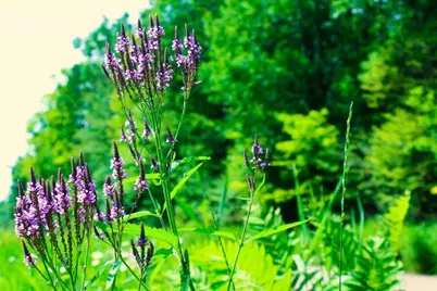 N10660 Tower Road, Phillips, WI 54555 - Photo 38