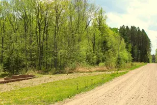 N10660 Tower Rd, Phillips, WI 54555 - Photo 28