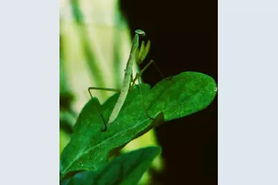 N10660 Tower Road, Phillips, WI 54555 - Photo 44