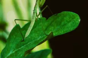 N10660 Tower Rd, Phillips, WI 54555 - Photo 44