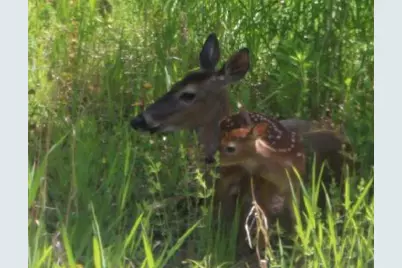 N10660 Tower Road, Phillips, WI 54555 - Photo 10