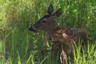 N10660 Tower Rd, Phillips, WI 54555 - Photo 10