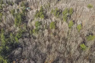 4824N Lake Winter Rd, Winter, WI 54896 - Photo 52