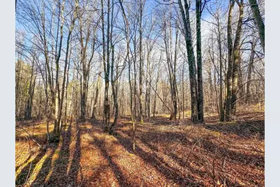 4824N Lake Winter Road, Winter, WI 54896 - Photo 48